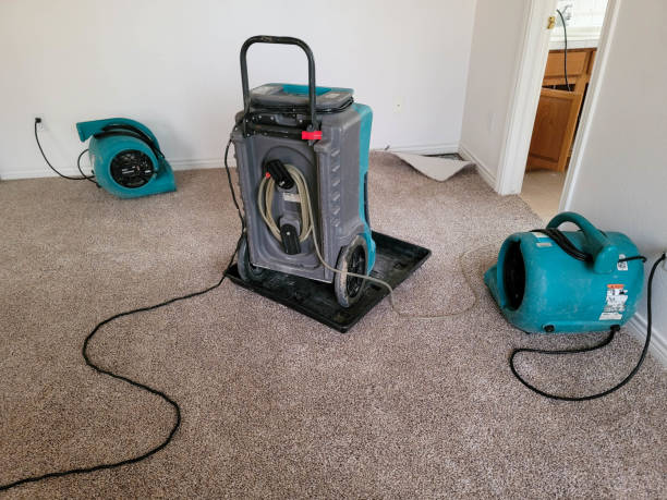Best Water damage restoration process  in Desert Aire, WA
