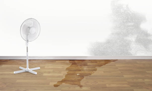 Best Water damage cleanup near me  in Desert Aire, WA