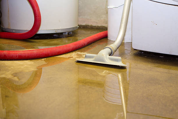Best Carpet water damage restoration  in Desert Aire, WA