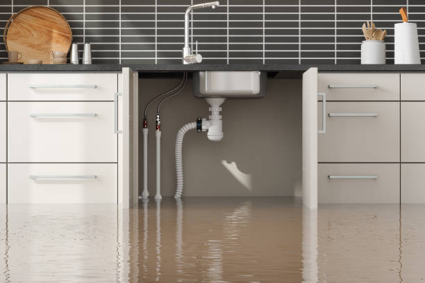 Best Water damage contractors near me  in Desert Aire, WA