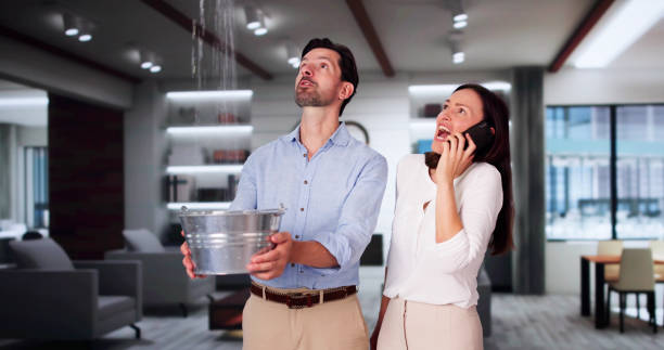 Best Basement water damage restoration  in Desert Aire, WA