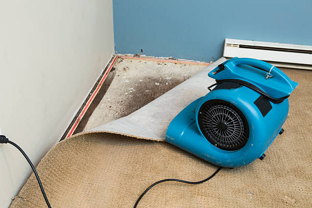Best Fire Damage Restoration  in Desert Aire, WA